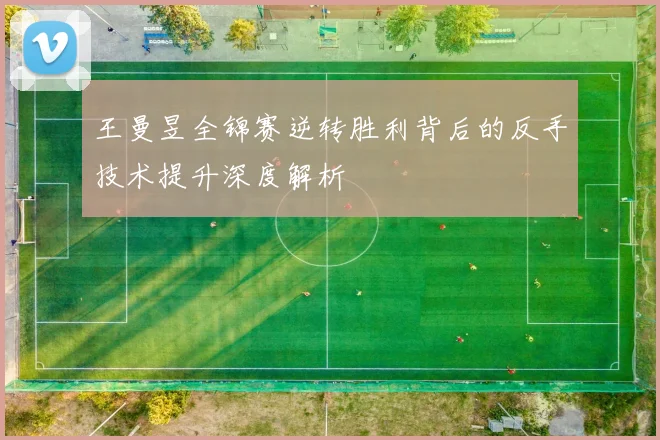 王曼昱全锦赛逆转胜利背后的反手技术提升深度解析