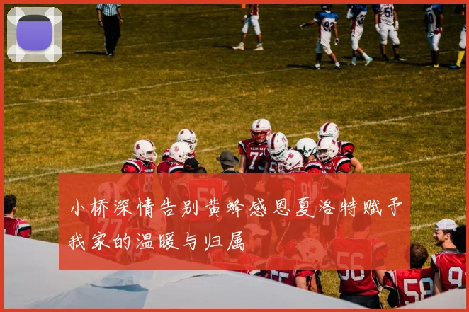 小桥深情告别黄蜂感恩夏洛特赋予我家的温暖与归属